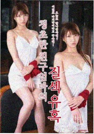 萌道动漫星夜物语在线观看